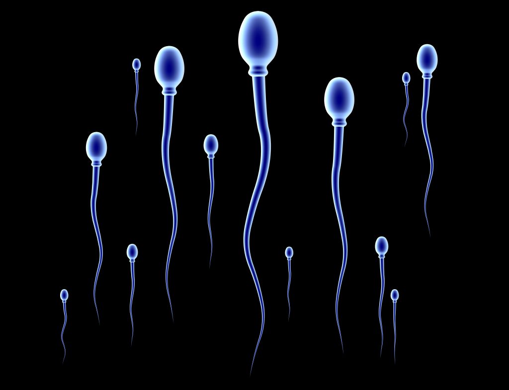 Sperma als heilmittel